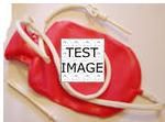 ���� �� ������ � ����������, ����� �����